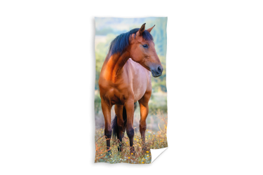 Ręcznik bawełniany do rąk 30x50 koń